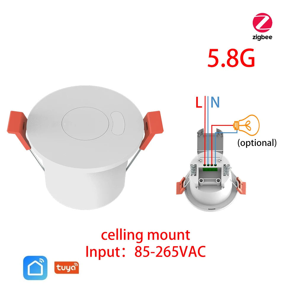 Human Presence Motion Sensor