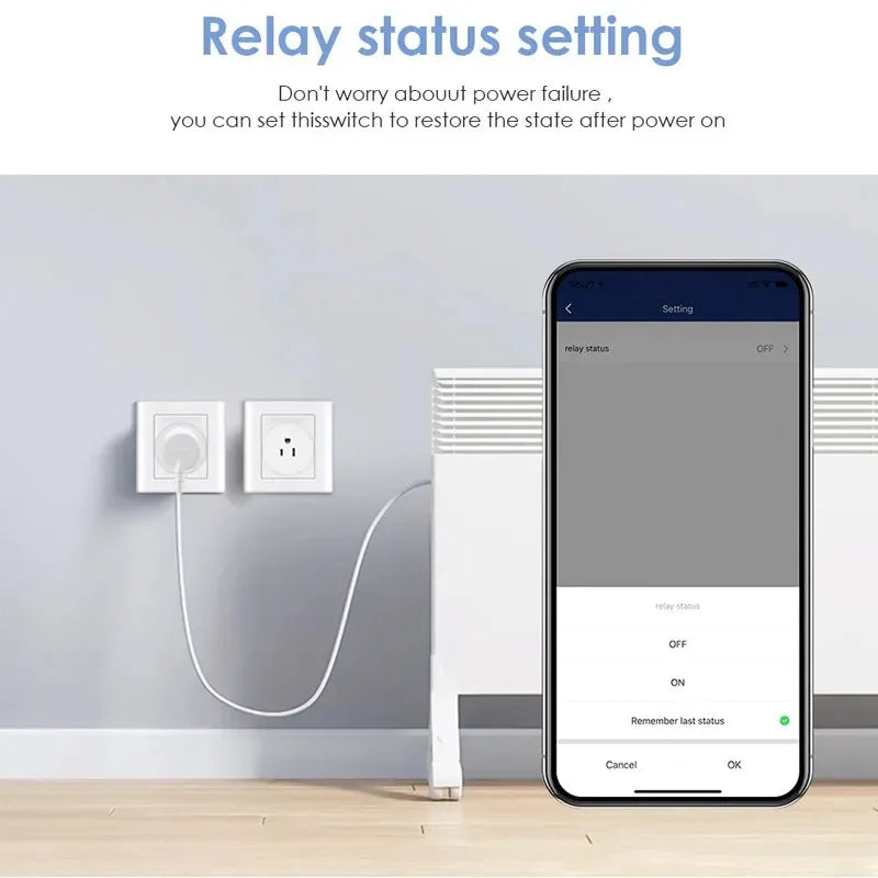 Smart Wifi Plug With Alexa
